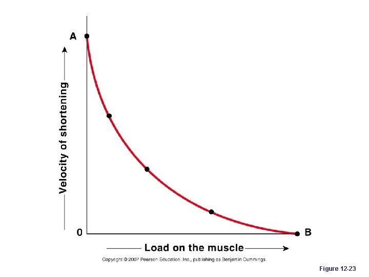 Figure 12 -23 