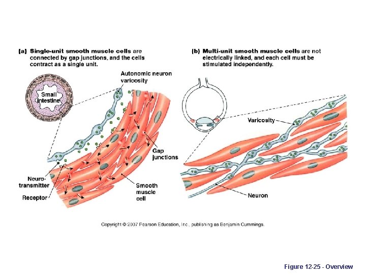 Figure 12 -25 - Overview 