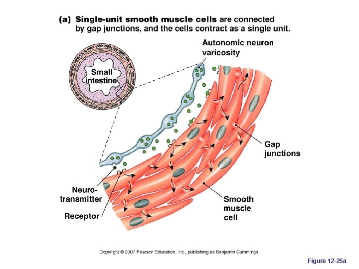 Figure 12 -25 a 