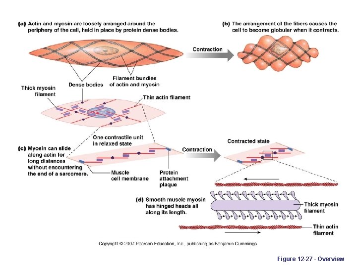 Figure 12 -27 - Overview 