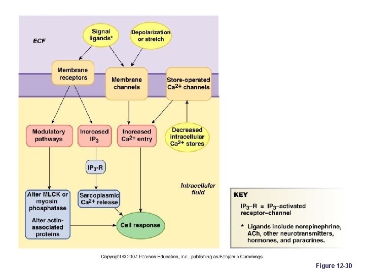 Figure 12 -30 