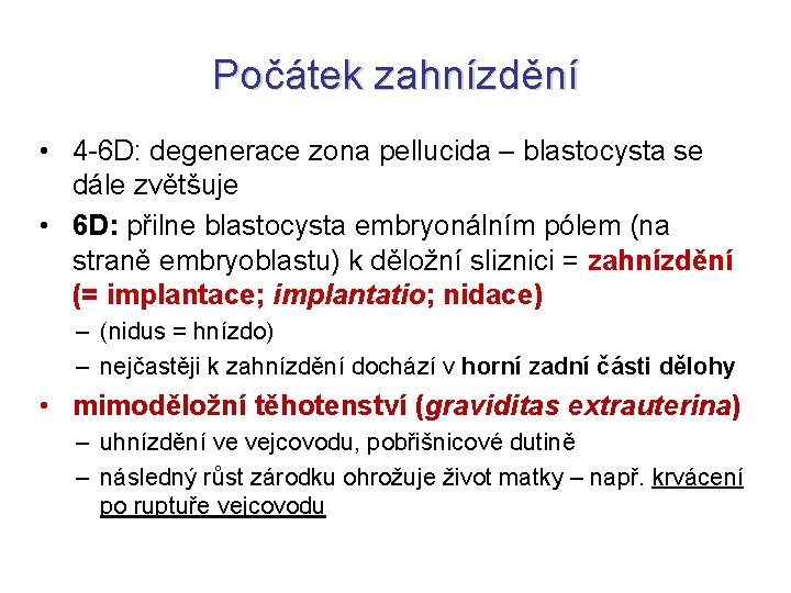 Počátek zahnízdění • 4 -6 D: degenerace zona pellucida – blastocysta se dále zvětšuje