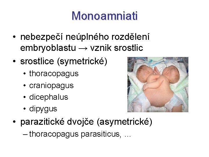 Monoamniati • nebezpečí neúplného rozdělení embryoblastu → vznik srostlic • srostlice (symetrické) • •