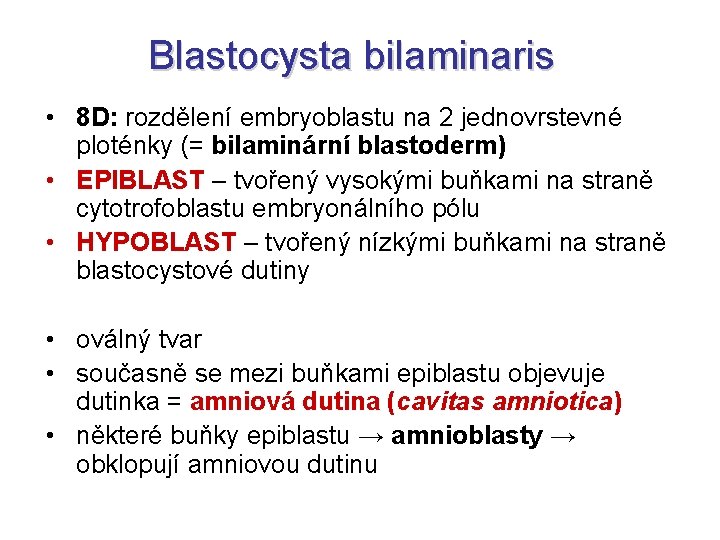 Blastocysta bilaminaris • 8 D: rozdělení embryoblastu na 2 jednovrstevné ploténky (= bilaminární blastoderm)