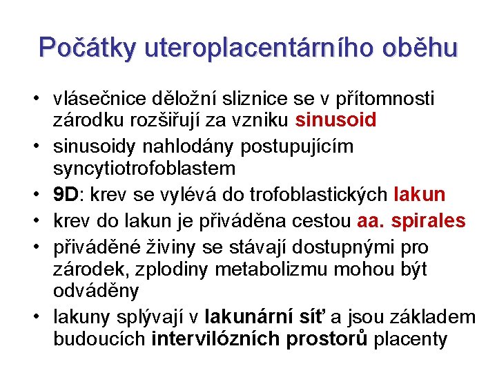 Počátky uteroplacentárního oběhu • vlásečnice děložní sliznice se v přítomnosti zárodku rozšiřují za vzniku