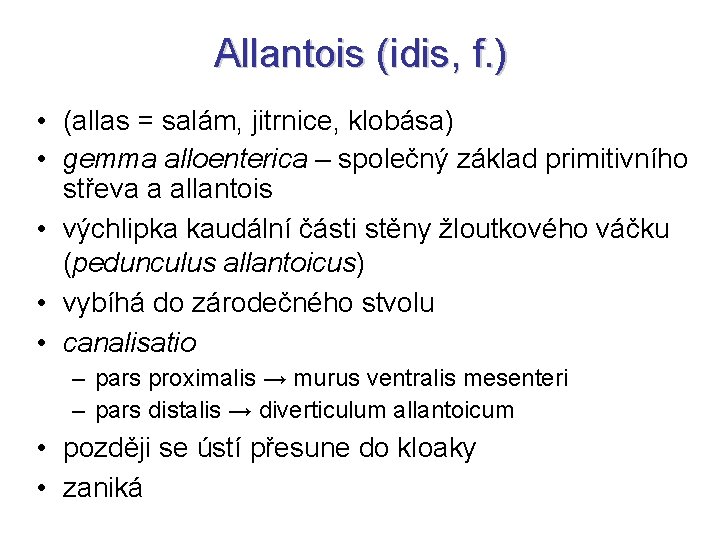 Allantois (idis, f. ) • (allas = salám, jitrnice, klobása) • gemma alloenterica –