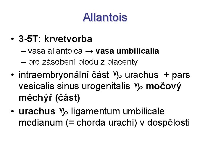 Allantois • 3 -5 T: krvetvorba – vasa allantoica → vasa umbilicalia – pro