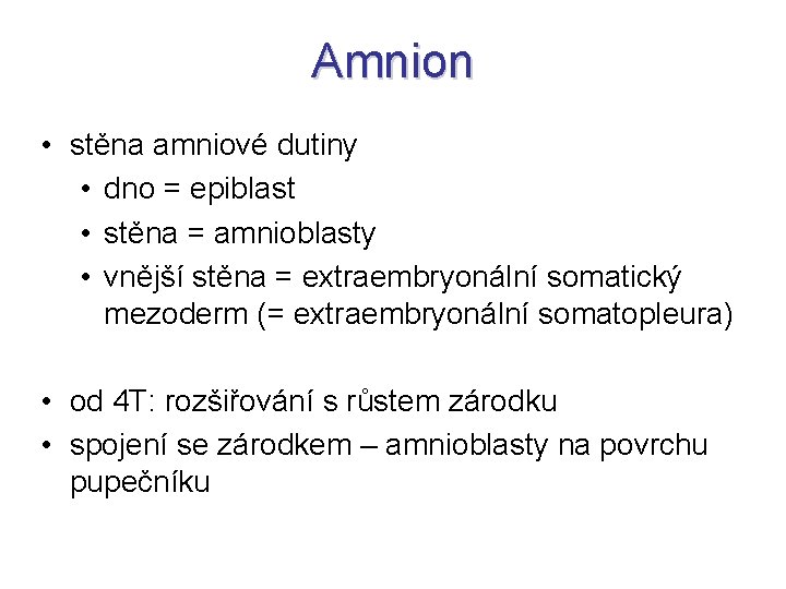 Amnion • stěna amniové dutiny • dno = epiblast • stěna = amnioblasty •