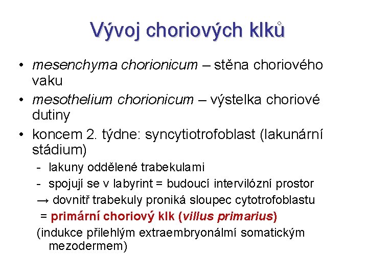 Vývoj choriových klků • mesenchyma chorionicum – stěna choriového vaku • mesothelium chorionicum –