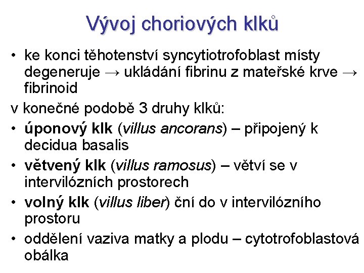 Vývoj choriových klků • ke konci těhotenství syncytiotrofoblast místy degeneruje → ukládání fibrinu z