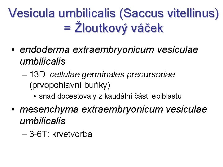 Vesicula umbilicalis (Saccus vitellinus) = Žloutkový váček • endoderma extraembryonicum vesiculae umbilicalis – 13