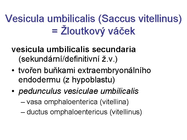 Vesicula umbilicalis (Saccus vitellinus) = Žloutkový váček vesicula umbilicalis secundaria (sekundární/definitivní ž. v. )