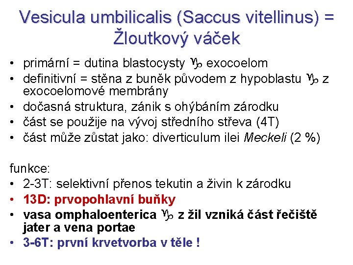 Vesicula umbilicalis (Saccus vitellinus) = Žloutkový váček • primární = dutina blastocysty exocoelom •