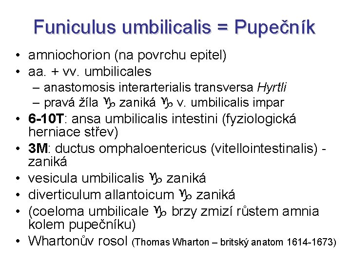 Funiculus umbilicalis = Pupečník • amniochorion (na povrchu epitel) • aa. + vv. umbilicales