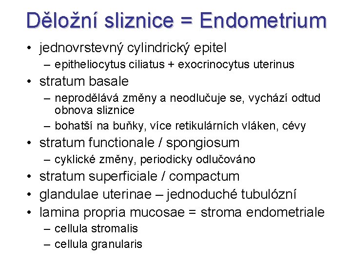 Děložní sliznice = Endometrium • jednovrstevný cylindrický epitel – epitheliocytus ciliatus + exocrinocytus uterinus