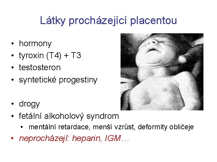 Látky procházející placentou • • hormony tyroxin (T 4) + T 3 testosteron syntetické