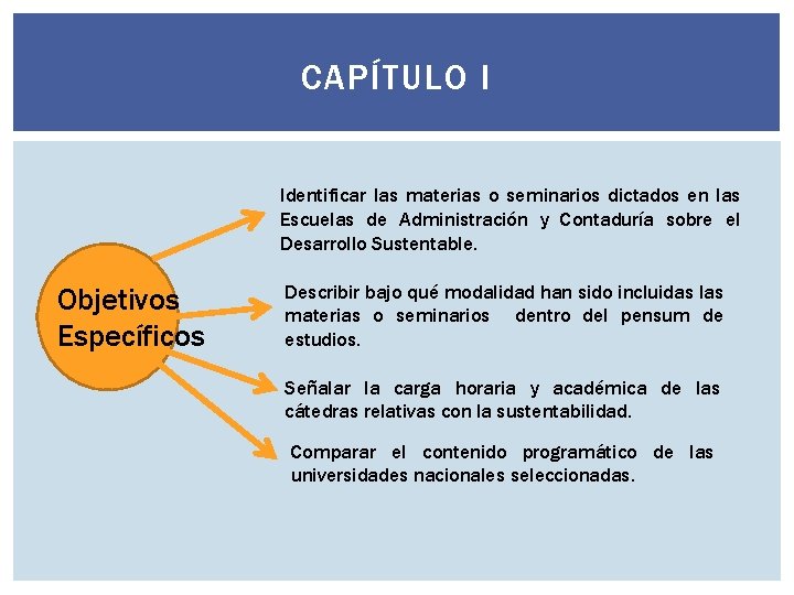 CAPÍTULO I Identificar las materias o seminarios dictados en las Escuelas de Administración y