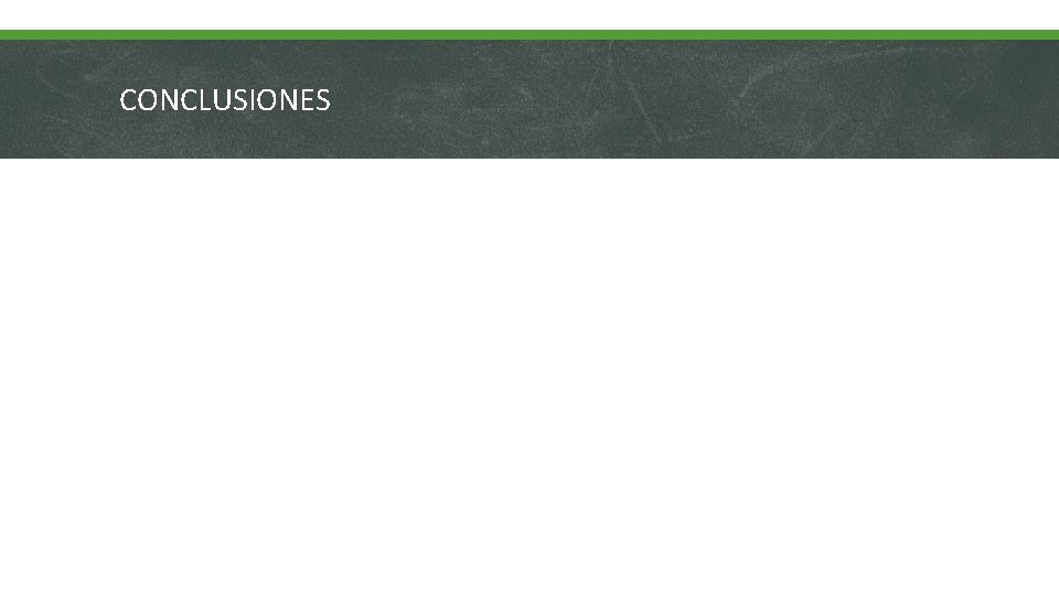 CONCLUSIONES CONCLUSIONES