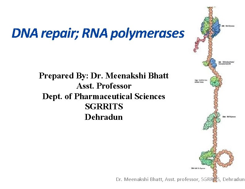 DNA repair; RNA polymerases Prepared By: Dr. Meenakshi Bhatt Asst. Professor Dept. of Pharmaceutical