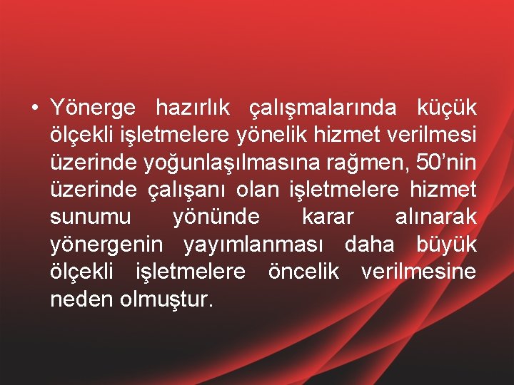  • Yönerge hazırlık çalışmalarında küçük ölçekli işletmelere yönelik hizmet verilmesi üzerinde yoğunlaşılmasına rağmen,