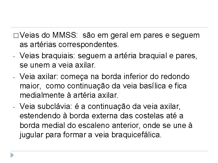 � Veias do MMSS: são em geral em pares e seguem - - as