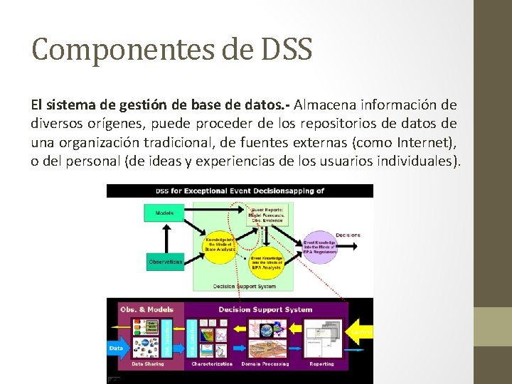 Componentes de DSS El sistema de gestión de base de datos. - Almacena información