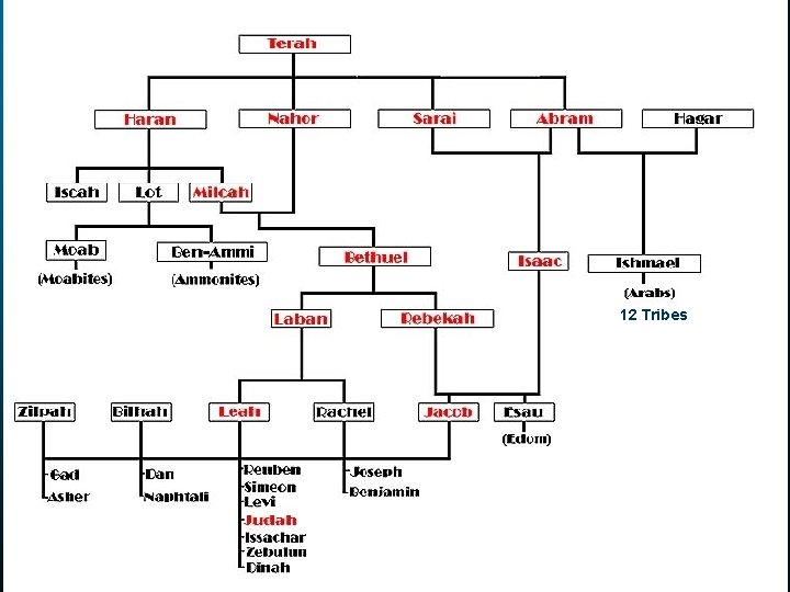 12 Tribes 