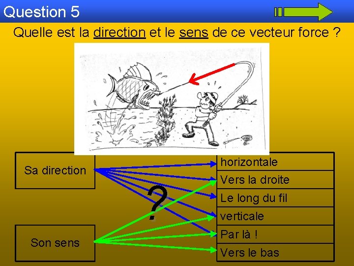 Question 5 Quelle est la direction et le sens de ce vecteur force ?