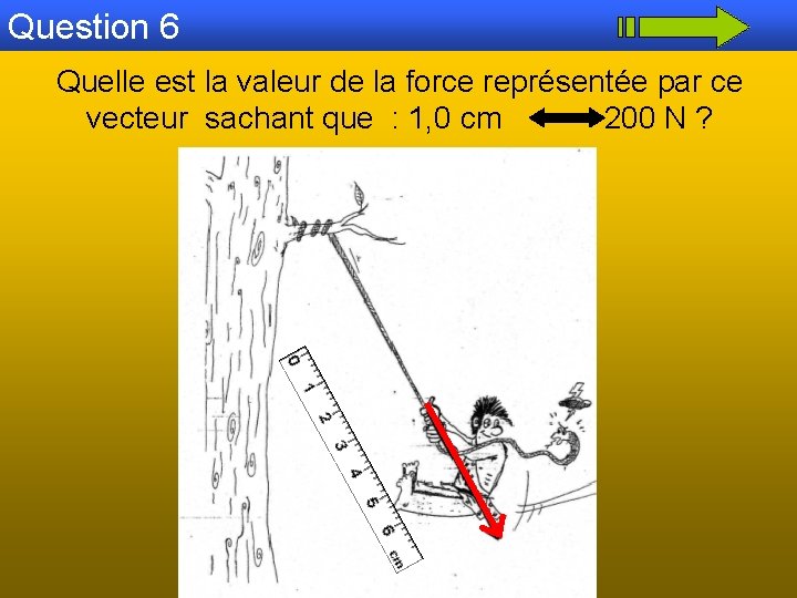 Question 6 Quelle est la valeur de la force représentée par ce vecteur sachant