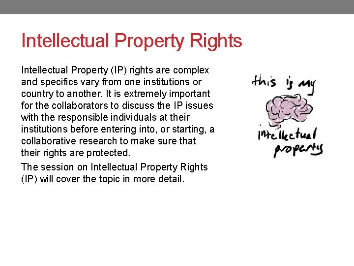 Intellectual Property Rights Intellectual Property (IP) rights are complex and specifics vary from one