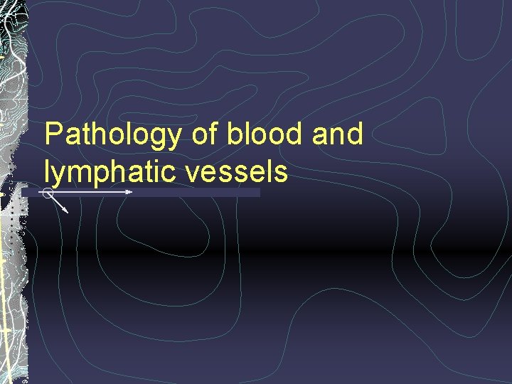 Pathology of blood and lymphatic vessels 