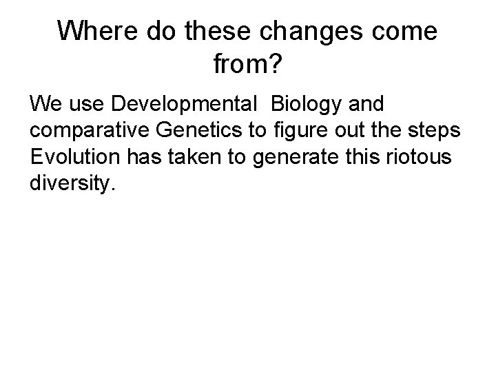 Where do these changes come from? We use Developmental Biology and comparative Genetics to Where do these changes come from? We use Developmental Biology and comparative Genetics to