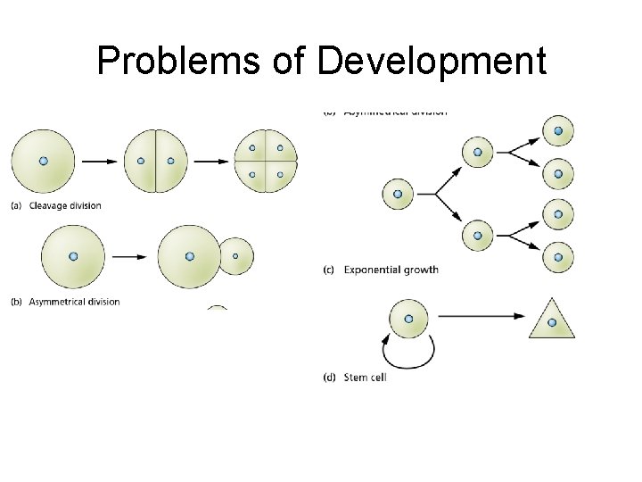 Problems of Development Problems of Development