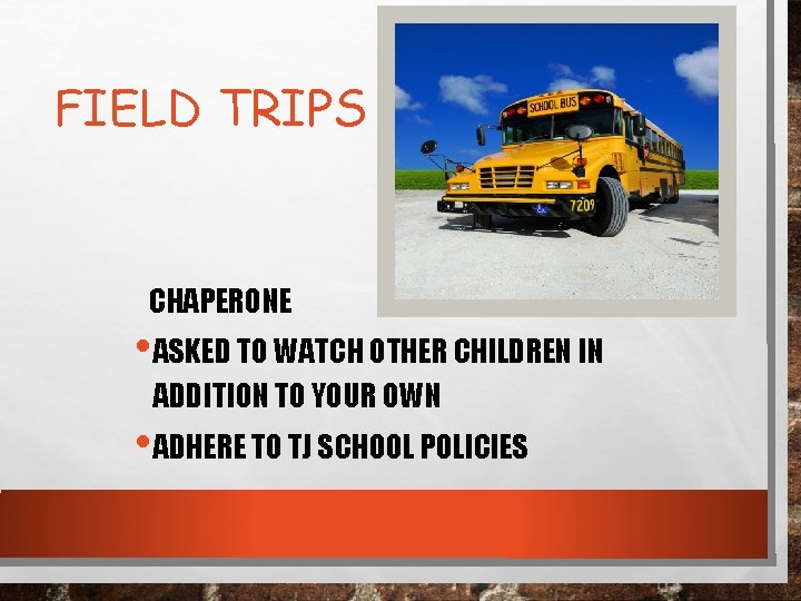 FIELD TRIPS CHAPERONE • ASKED TO WATCH OTHER CHILDREN IN ADDITION TO YOUR OWN