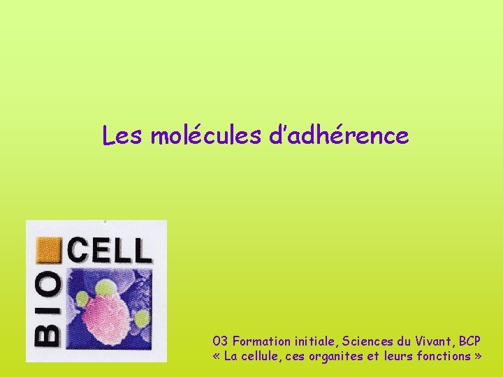 Les molécules d’adhérence 03 Formation initiale, Sciences du Vivant, BCP « La cellule, ces