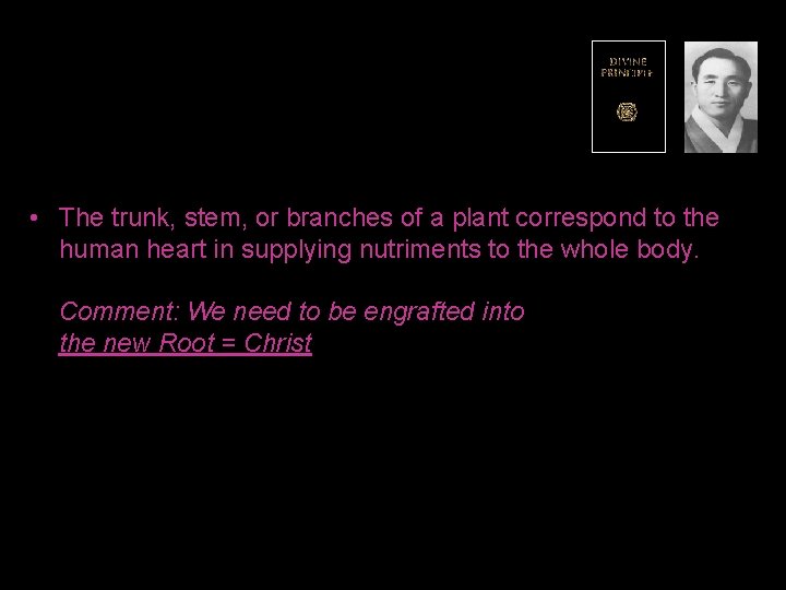  • The trunk, stem, or branches of a plant correspond to the human