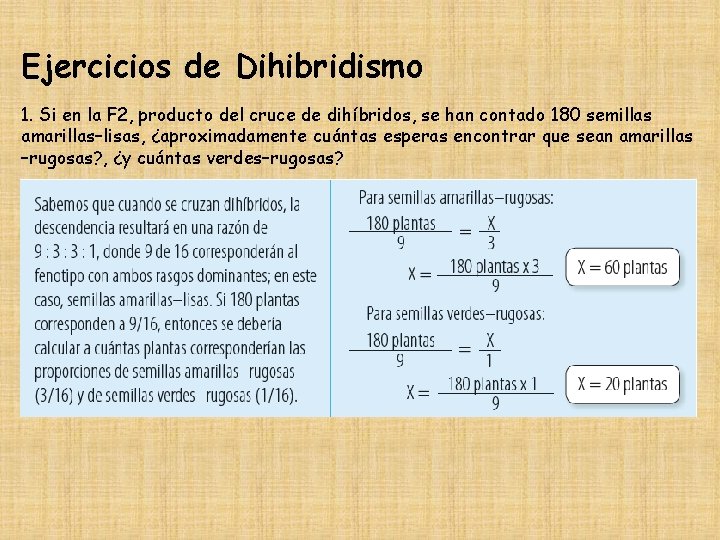 Ejercicios de Dihibridismo 1. Si en la F 2, producto del cruce de dihíbridos,