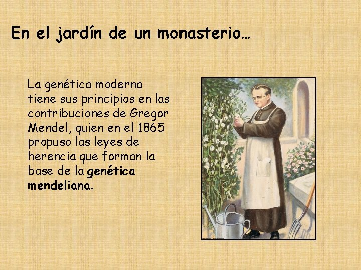 En el jardín de un monasterio… La genética moderna tiene sus principios en las