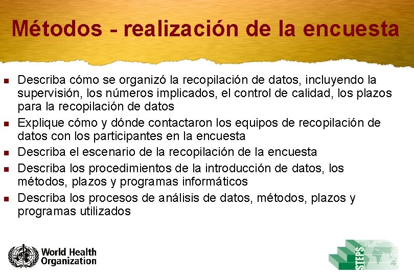 Métodos - realización de la encuesta n n n Describa cómo se organizó la