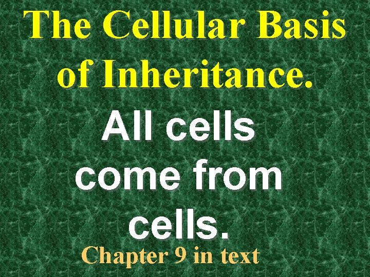 The Cellular Basis of Inheritance. All cells come from cells. Chapter 9 in text
