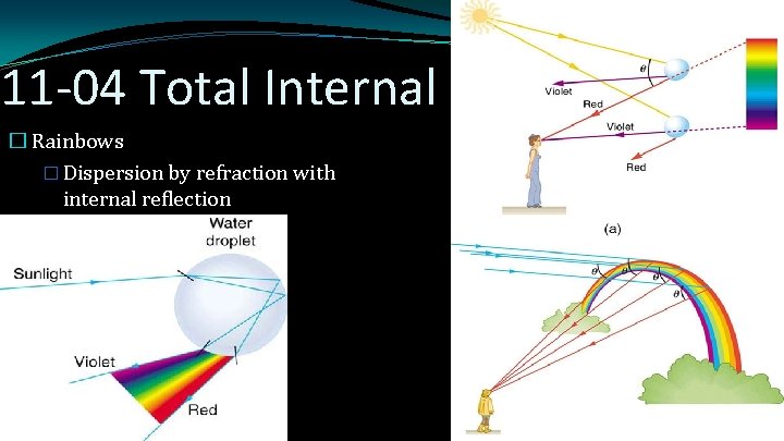 11 -04 Total Internal Reflection � Rainbows � Dispersion by refraction with internal reflection