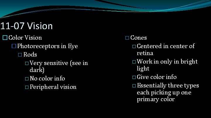 11 -07 Vision �Color Vision �Photoreceptors in Eye � Rods � Very sensitive (see