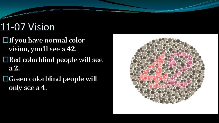 11 -07 Vision �If you have normal color vision, you'll see a 42. �Red