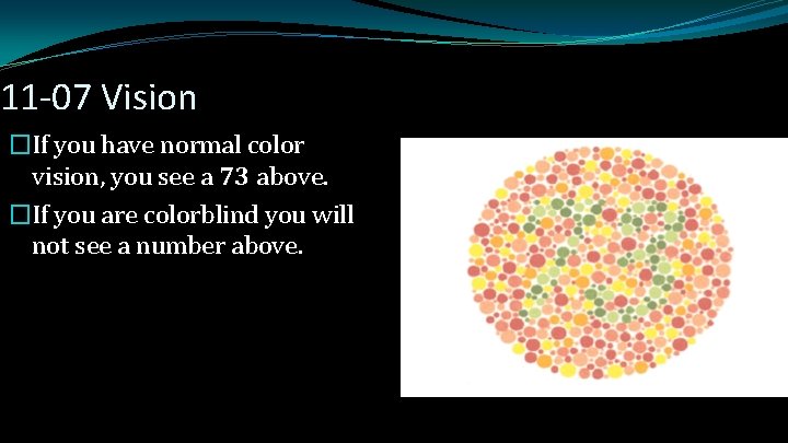 11 -07 Vision �If you have normal color vision, you see a 73 above.