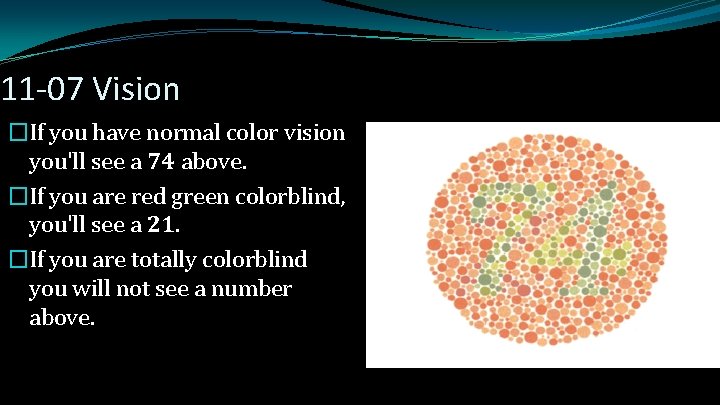 11 -07 Vision �If you have normal color vision you'll see a 74 above.