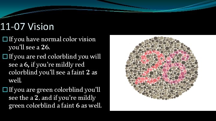 11 -07 Vision �If you have normal color vision you'll see a 26. �If