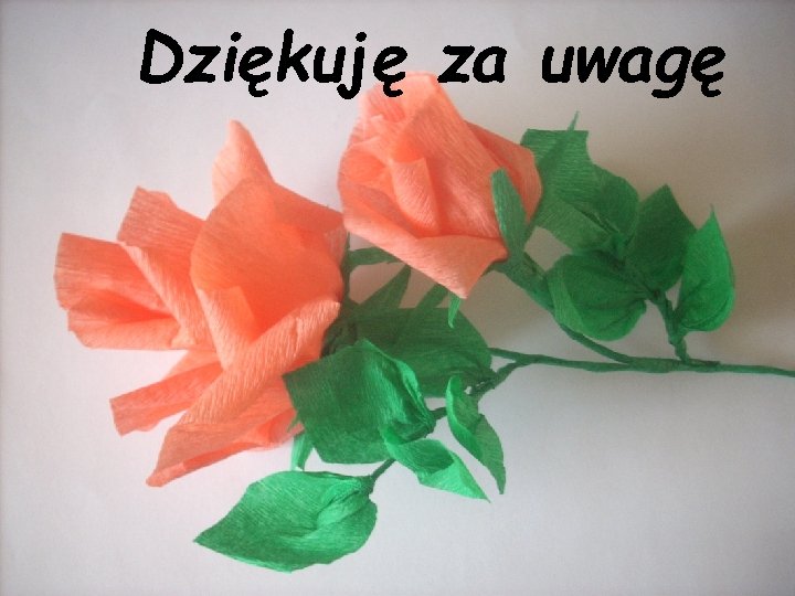 Dziękuję za uwagę Dziękuję za uwagę