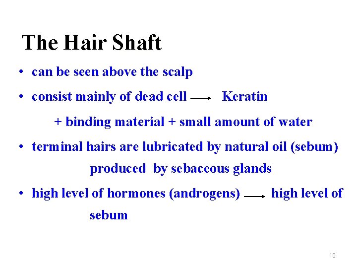 The Hair Shaft • can be seen above the scalp • consist mainly of