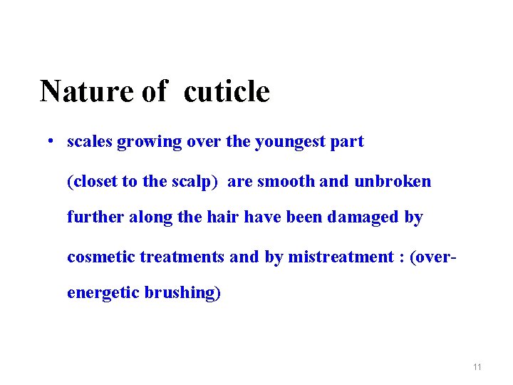 Nature of cuticle • scales growing over the youngest part (closet to the scalp)