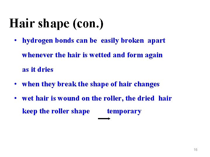 Hair shape (con. ) • hydrogen bonds can be easily broken apart whenever the